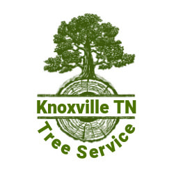 Knoxville TN Tree Service | Tree Removal Knoxville | Tree Stump Removal ...